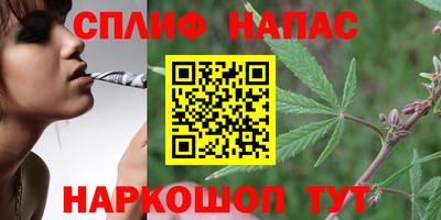 СК Бузулук