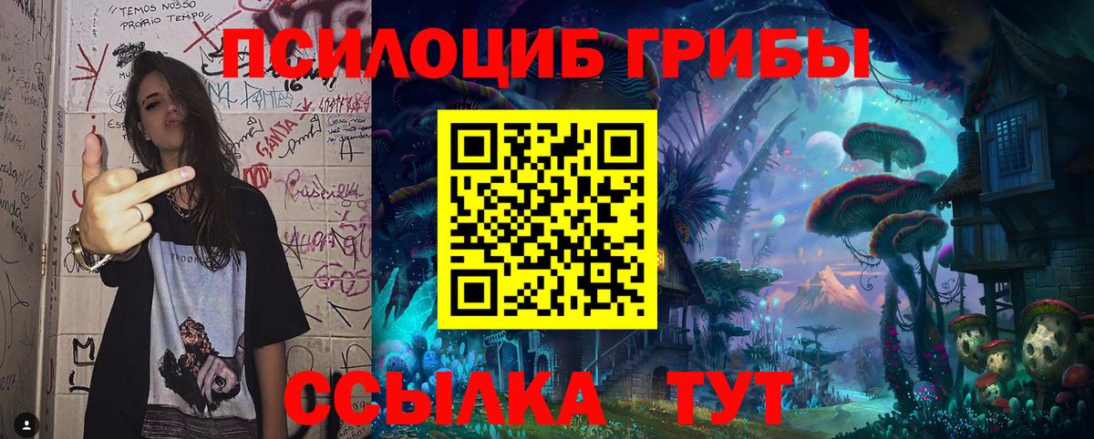 Салехард  Псилоцибиновые грибы Cubensis  где найти наркотики  Вход с VPN 